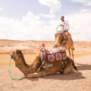 Half-Day Camel Ride Through the Agafay Desert